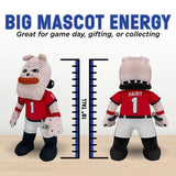 Hairy Dawg 18" Jumbo Mascot Plush Figure