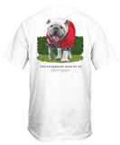 UGA Mascot Markers