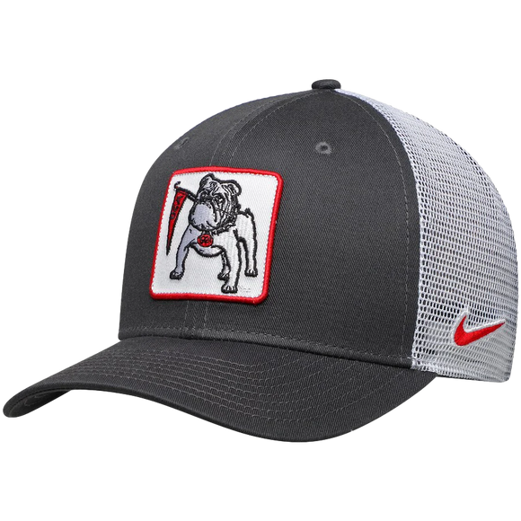 Nike Trucker Anthracite Pennant Dog