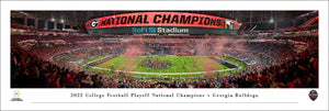 UGA 2022 National Champions Unframed Panoramic Picture