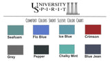 The State Sorority Comfort Colors Tee